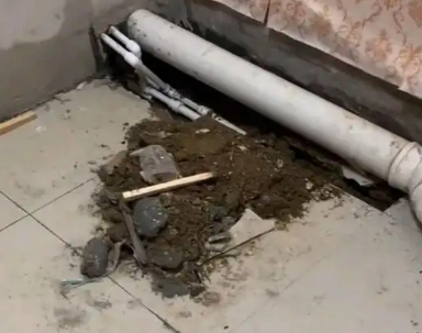 桑日卫生间漏水检测哪家好