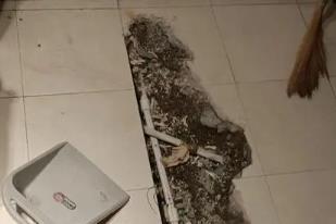 桑日卫生间漏水检测电话